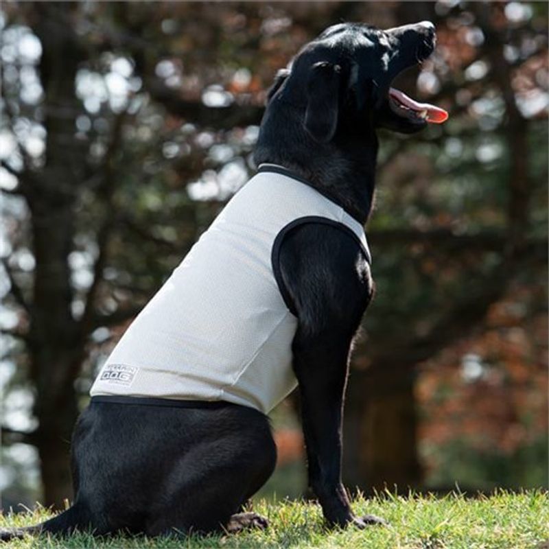 Terrain dog Cooling Vest