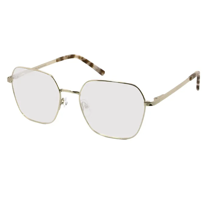 NPS 3190 Filterbrille ME