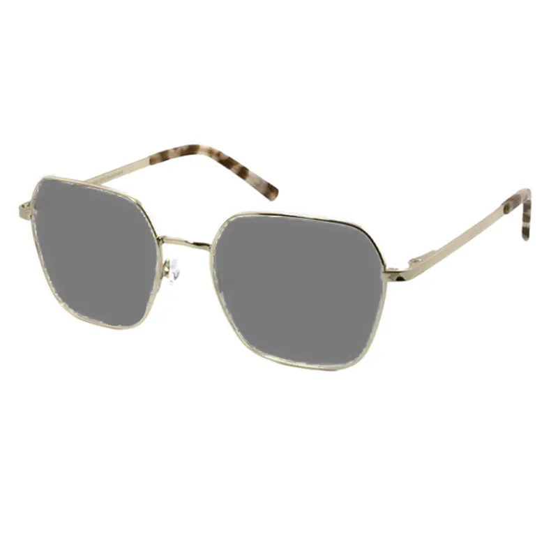 NPS 3190 Filterbrille ME